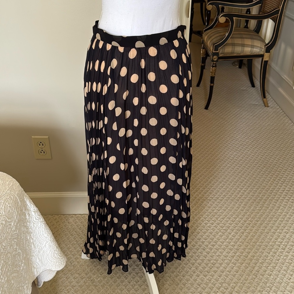 J Crew Chiffon Pleated Dot Skirt